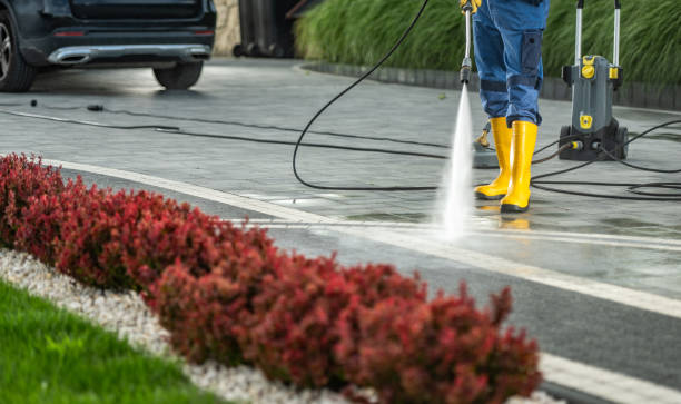 Best Post-Construction Pressure Washing  in Carrollton, AL